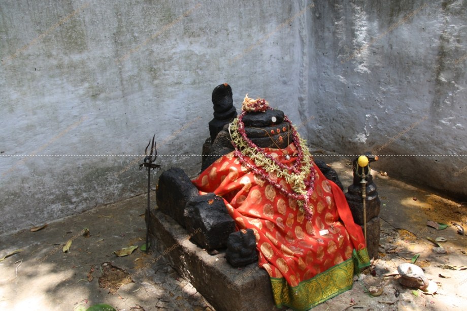 shencottai Group of KDB tEMPLES 26-27-03-2016 367