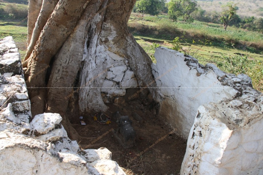 shencottai Group of KDB tEMPLES 26-27-03-2016 518