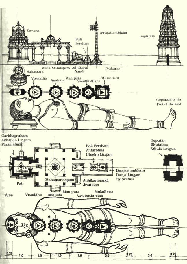 101264358_3239972442721275_4345552110847262720_o (1)